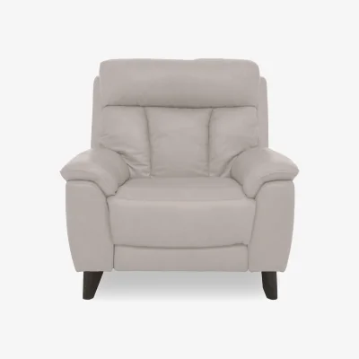 Furniture Village World of Leather - Dreamer NC Leather Armchair - Feather