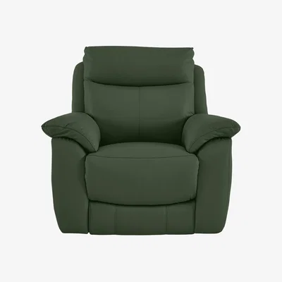 Furniture Village World of Leather - Echo Leather Armchair