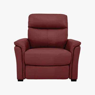Furniture Village Compact Collection Piccolo Leather Static Armchair- World of Leather