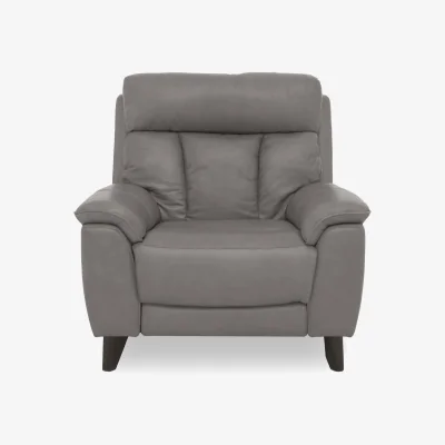 Furniture Village World of Leather - Dreamer Leather Armchair - BV Elephant