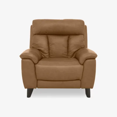 Furniture Village World of Leather - Dreamer Leather Armchair - Cognac