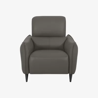 Furniture Village Domicil - Maddox Leather Chair - NP Elephant Grey