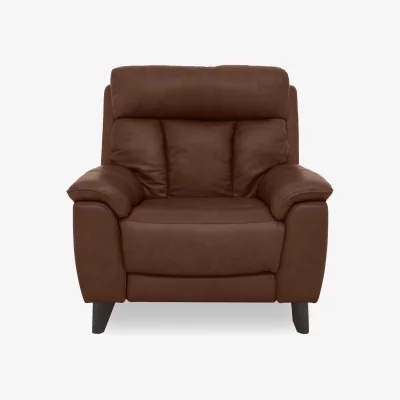 Furniture Village World of Leather - Dreamer Leather Armchair - Tobacco
