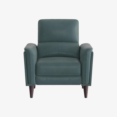 Furniture Village Compact Collection Klein BV Leather Chair - BV Lake Green