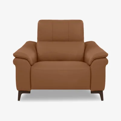 Furniture Village Nicoletti - Marconi Leather Armchair - Botero Cuoio