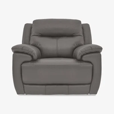 Furniture Village Touch BV Leather Armchair - BV Elephant