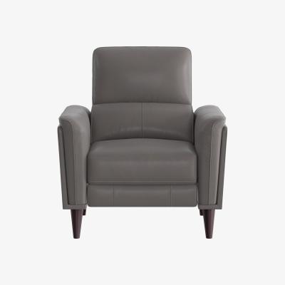 Furniture Village Compact Collection Klein BV Leather Chair - BV Elephant