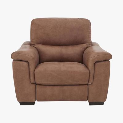 Furniture Village World of Leather - Aneto Leather Armchair