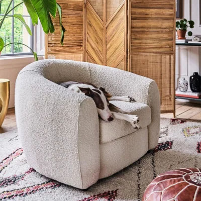Graham & Green Graham and Green Lexi Ivory Bouclé Tub Chair