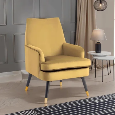 The Range Loretta Velvet Accent Padded Armchair Gold Tipped Feet Modern - Mustard