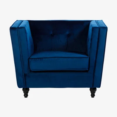 Teddy Beau Teddy's Collection Felix Velvet Navy Piped Trim Navy Armchair