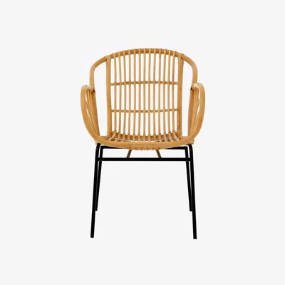 Teddy Beau Teddy's Collection Logan Rattan Brown Armchair