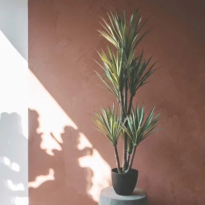 Graham & Green Faux Yucca Plant