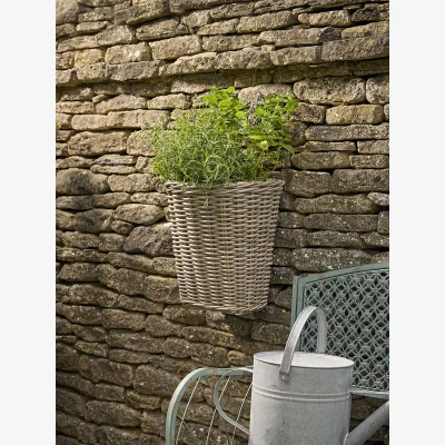 Cox and Cox Rattan Gatherer Basket