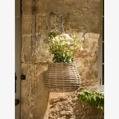 Cox and Cox Rattan Bellure Hanging Basket