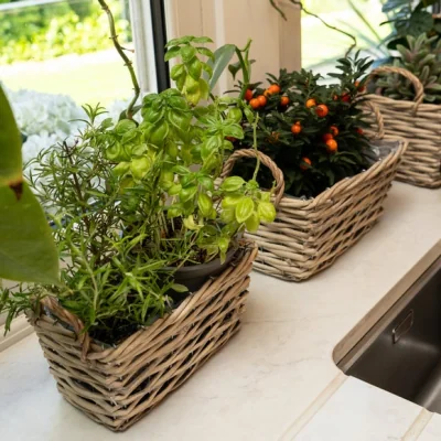 Dunelm Set of 3 Rectangular Wicker Plant Baskets with Handles