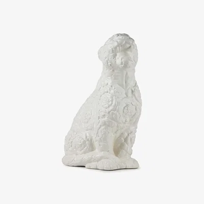 Amara Rokko Ornamt 00
