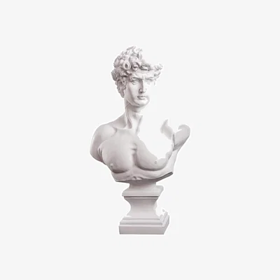 Amara Michelangelos David Bust Sculpture