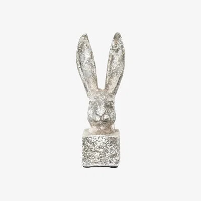Amara Harry Hare 99