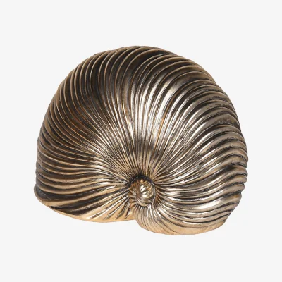 Arighi Bianchi Gold Sea Snail Decoration