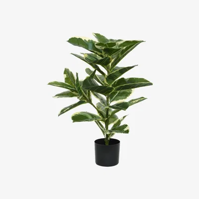 Barker and Stonehouse Faux Rubber Plant, Green | Barker & Stonehouse
