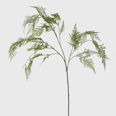 Barker and Stonehouse Fern Spray, Green | Barker & Stonehouse