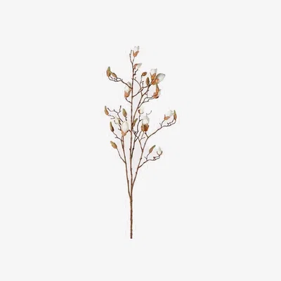 Barker and Stonehouse Magnolia Bud Branch | Barker & Stonehouse