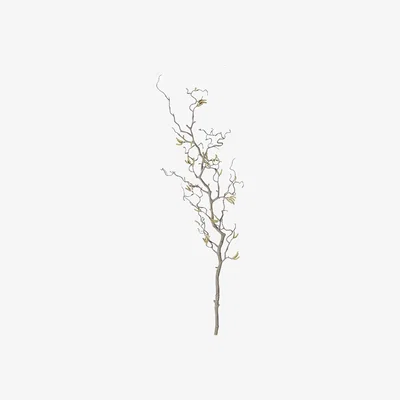 Barker and Stonehouse Willow Branch, Neutral | Barker & Stonehouse