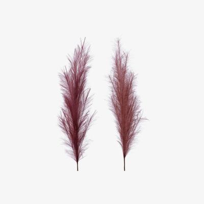 Barker and Stonehouse Set of 2 Rust Pampas Grass, Red | Barker & Stonehouse