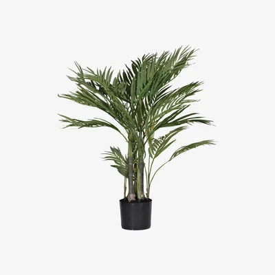 Barker and Stonehouse Med Potted Palm, Green | Barker & Stonehouse