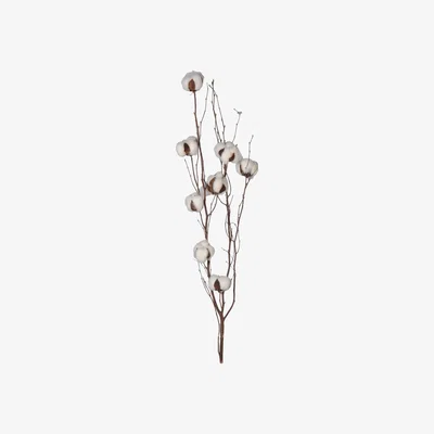 Barker and Stonehouse Natural Cotton Branch, Neutral | Barker & Stonehouse