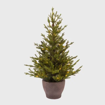 Barker and Stonehouse Potted Fir Tree, Green | Barker & Stonehouse