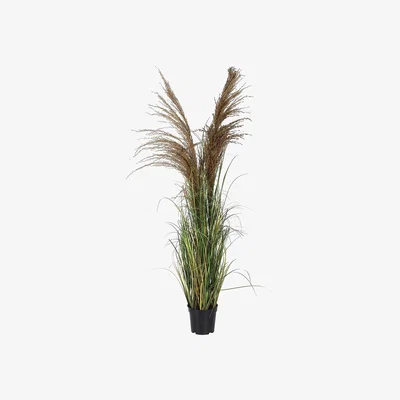 Barker and Stonehouse Faux Wheat Onion Grass Plant | Barker & Stonehouse
