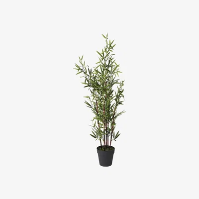 Barker and Stonehouse Potted Bamboo Tree, Green | Barker & Stonehouse