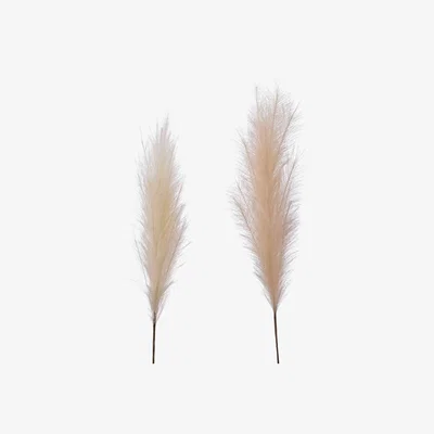 Barker and Stonehouse Set of 2 Neutral Pampas Grass | Barker & Stonehouse