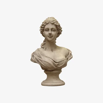Barker and Stonehouse Venus Bust | Barker & Stonehouse