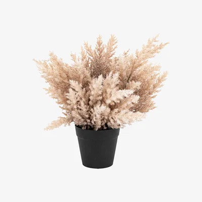Barker and Stonehouse Potted Corn Bush, Neutral | Barker & Stonehouse