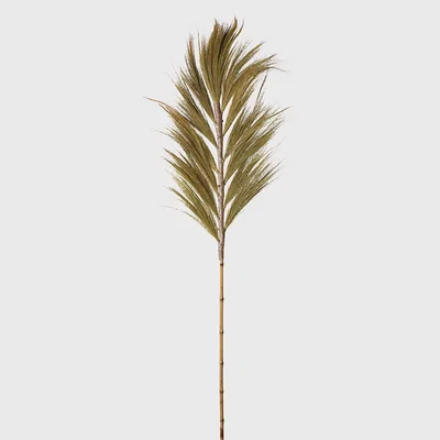 Barker and Stonehouse Oversized Grass Stem, Neutral | Barker & Stonehouse