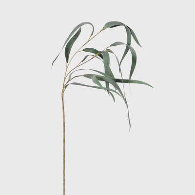 Barker and Stonehouse Willow Eucalyptus Spray, Green | Barker & Stonehouse
