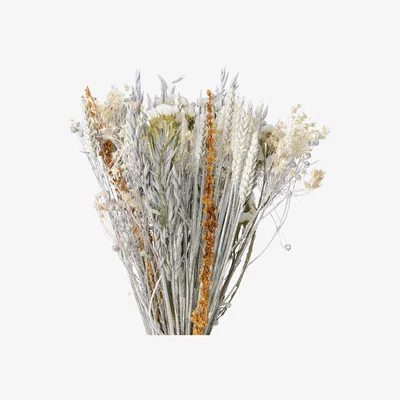 Barker and Stonehouse Ash Dried Flower Bouquet | Barker & Stonehouse