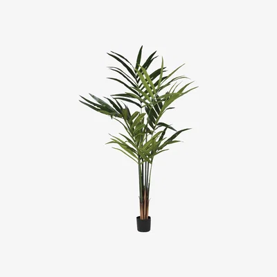 Barker and Stonehouse Lge Potted Palm, Green | Barker & Stonehouse