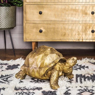 Graham & Green Tarquin the Tortoise