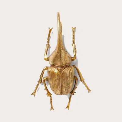 Graham & Green Hercules Beetle