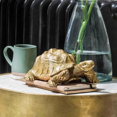 Graham & Green Tarantino the Tortoise