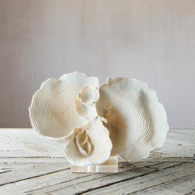 Graham & Green White Faux Coral on Stand