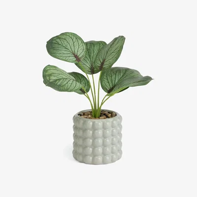 Habitat Habitat Artificial Faux Calathea in Ceramic Bobble Pot -Grey