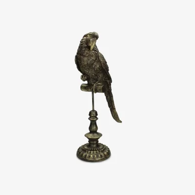 John Lewis Libra Parrot Sculpture, H41cm, Antique Gold