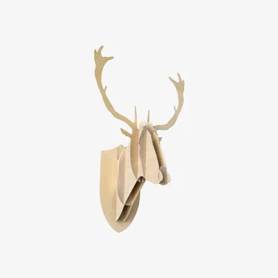 Made in Design Trophy - Deer - H 70 cm by Moustache Natural wood