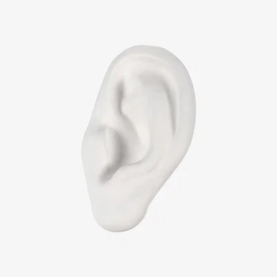 Made in Design Memorabilia Mvsevm Decoration - / Ear by Seletti White