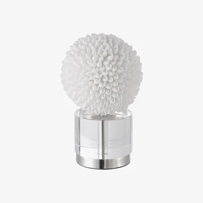 Olivia's Uttermost Cascara White Sculpture